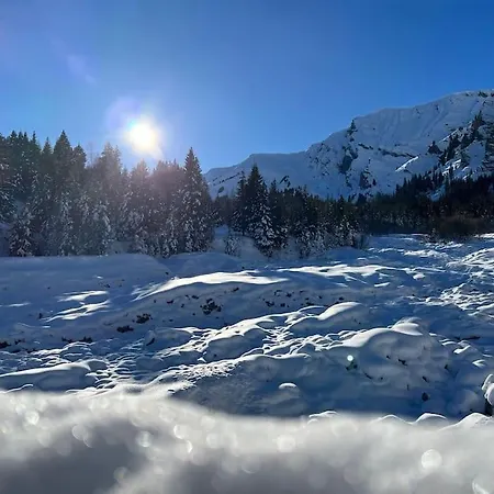 Schoenes In Vakantiehuis Adelboden