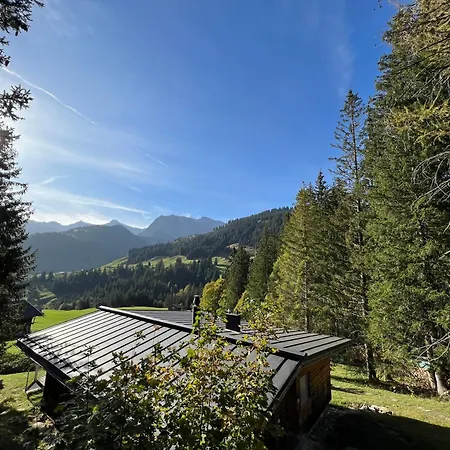 Vakantiehuis Schoenes In Adelboden