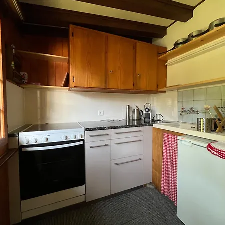 Schoenes In Vakantiehuis Adelboden